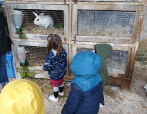 Ferme Musée